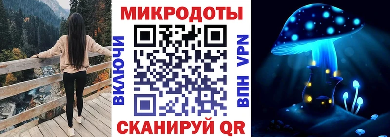 Галлюциногенные грибы Psilocybe Бирюсинск